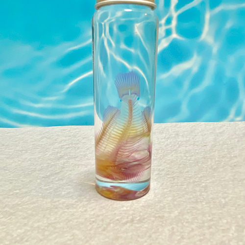 透明標本(クマノミ 全長約90mm) (訳あり品) その他インテリア雑貨