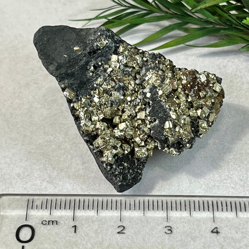 希少✨ パイライト オン シュンガイト 結晶 原石 ラフストーン その他