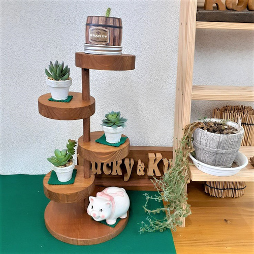 最新作 無骨なアイアン脚＆ウッドの飾り棚pイベント什器 ミニ観葉植物