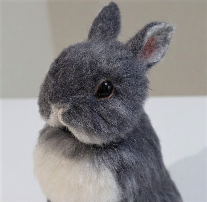 うさぎ様 うさぎ様