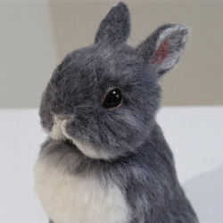 うさぎ うさぎ 羊毛フェルト ネザーランドドワーフ ミニうさぎ うたっち