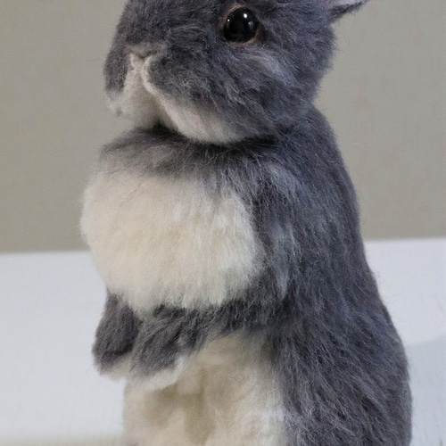 ネザーランドドワーフ（うさぎ）うたっち グレー 植毛 羊毛