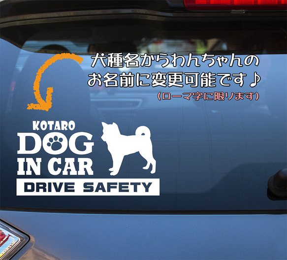 『犬種名・DOG IN CAR・DRIVE SAFETY・ゴールデンレトリバー（座り姿）』ステッカー　9cm×17cm 3枚目の画像