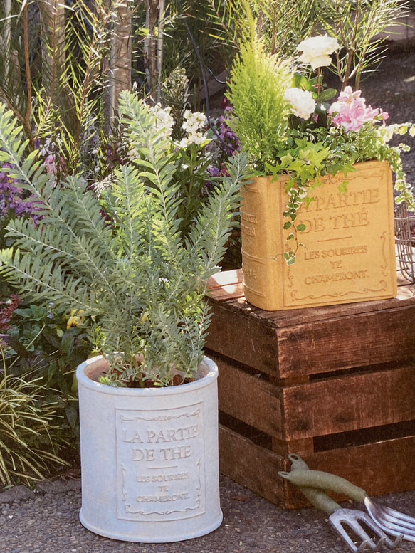《可愛いボウル型 陶器鉢 》 スーリールラウンド 観葉植物 多肉植物 お花の寄せ植え ガーデニング  281 2枚目の画像