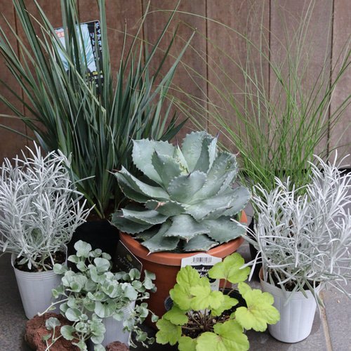 シルバー系❤︎ドライガーデンセット その他インテリア雑貨 トータル