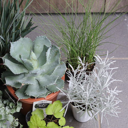 シルバー系❤︎ドライガーデンセット その他インテリア雑貨 トータル