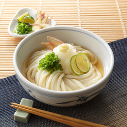 ［10人前］本場讃岐うどん　半生　おか乃や　さぬきうどん　贈答品　 1枚目の画像