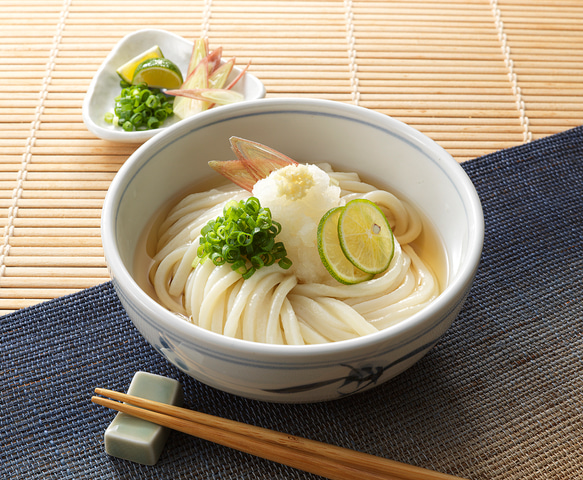 ［10人前］本場讃岐うどん　半生　おか乃や　さぬきうどん　贈答品　 1枚目の画像