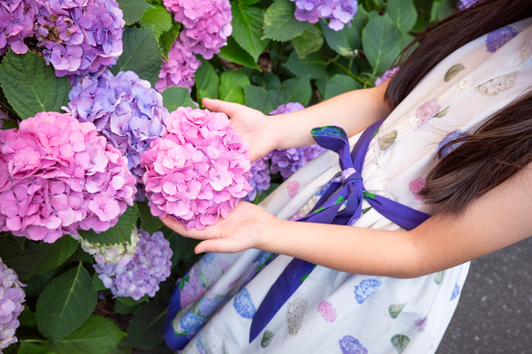 紫陽花フリルワンピース 11枚目の画像