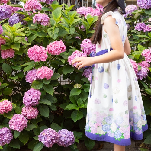 新品】知世ちゃんと紫陽花ワンピース