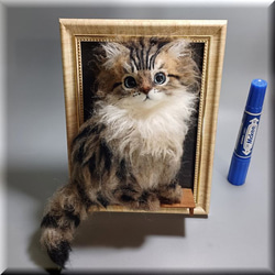 羊毛フェルト　猫 　『アクロン様』専用ページ 羊毛フェルト 猫 『アクロン様』専用ページ Amazon.co.jp: AZ