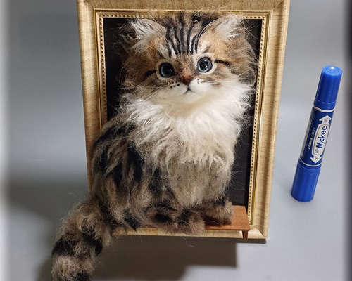 c71ed0d2b0c8bb8bed3db5ecde100a