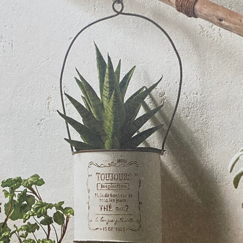 園芸ネット本店｜[送料無料]多肉寄せ植えブリキのホワイトバスケット幅