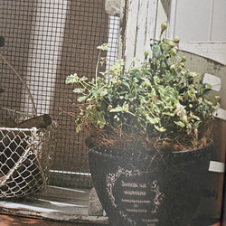 《可愛いハンギング鉢》 観葉植物 多肉植物 お花の寄せ植えに ガーデニング 樹脂製 アンティーク ハンギング 325 2枚目の画像