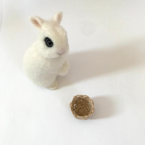 うさぎ 羊毛フェルト ドワーフホト ミニうさぎ うたっち 羊毛
