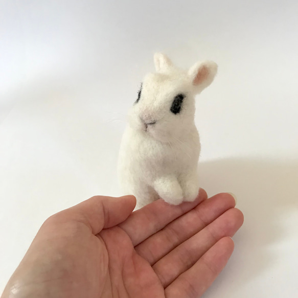 うさぎ 羊毛フェルト ドワーフホト ミニうさぎ うたっち 羊毛 うさぎ 羊毛フェルト ドワーフホト ミニうさぎ うたっち 羊毛