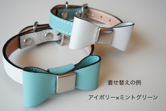 フランス産 山羊革シュリーで作る犬の首輪 カラー マカロンカラー 名入れ 迷子防止 5枚目の画像