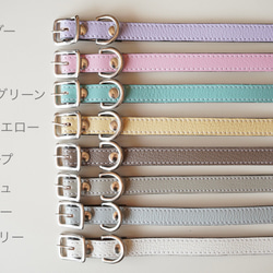 フランス産 山羊革シュリーで作る犬の首輪 カラー マカロンカラー 名入れ 迷子防止 4枚目の画像