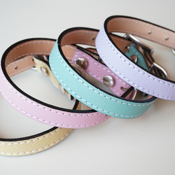 フランス産 山羊革シュリーで作る犬の首輪 カラー マカロンカラー 名入れ 迷子防止 3枚目の画像