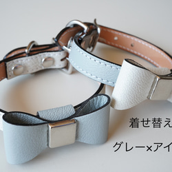 フランス産 山羊革シュリーで作る犬の首輪 カラー マカロンカラー 名入れ 迷子防止 6枚目の画像