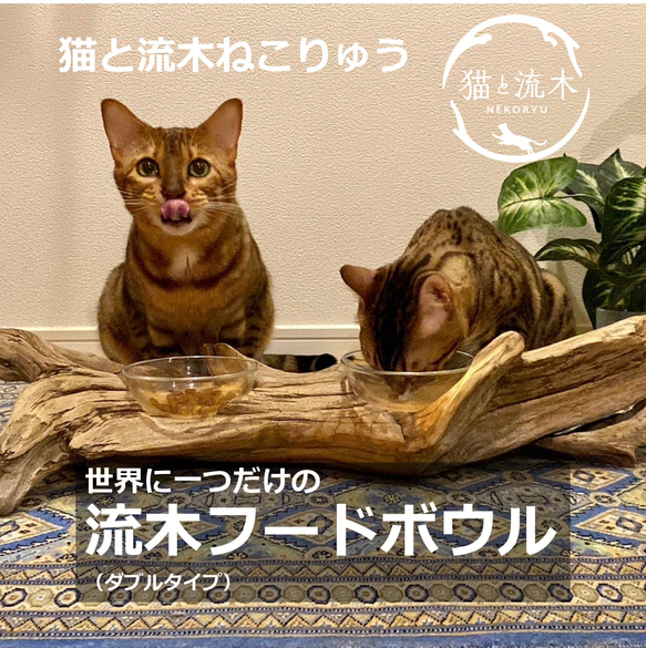 世界に一つだけ　流木フードボウル　えさ皿（ダブル）【猫と流木ねこりゅう】 1枚目の画像