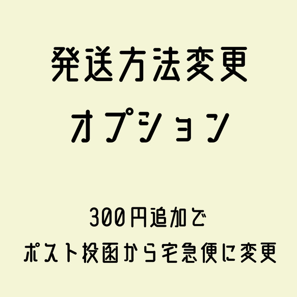 発送方法変更オプション単品 1枚目の画像