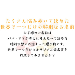 【選べる52デザイン】命名書 おしゃれ 手書き 代筆 色紙 赤ちゃん 命名 書 オーダー 命名紙 命名札 お七夜 2枚目の画像