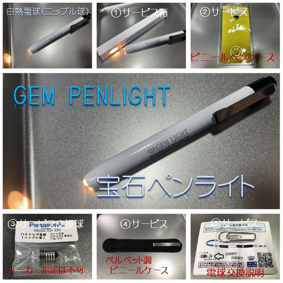 ペンライト 2本 THRUNITE (スルーナイト) Ti4 単四電池2本使用 LED ペン