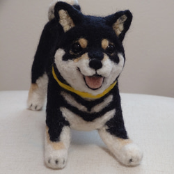 9c93850637e1dfc79b8fdad936e70f