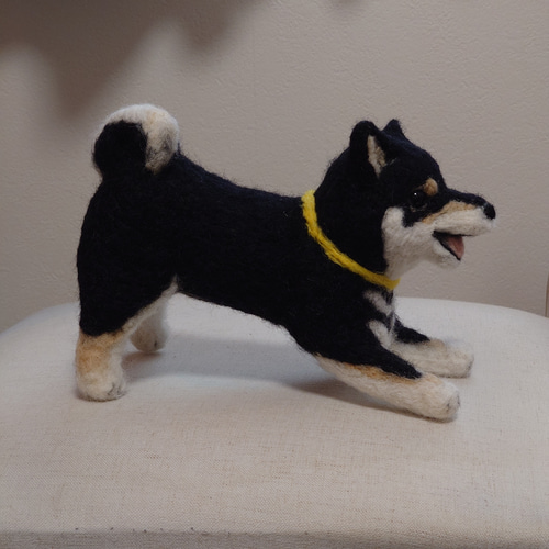柴犬 羊毛 羊毛フェルト ハンドメイド 黒柴 羊毛フェルト allenkuro48