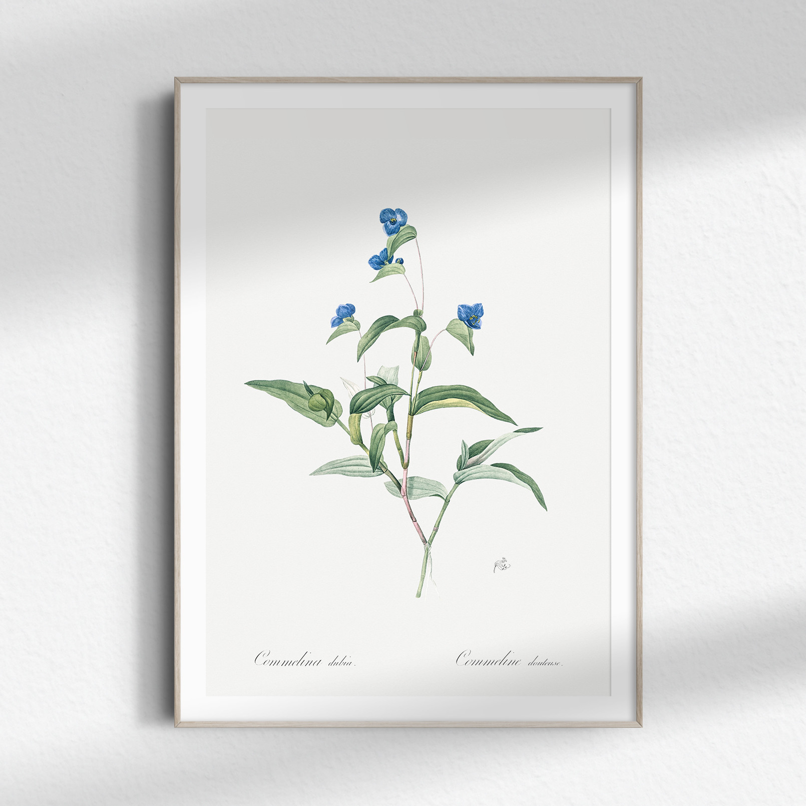 水彩画「月見草 と つゆ草」静物画 レトロ ゴールドフレーム