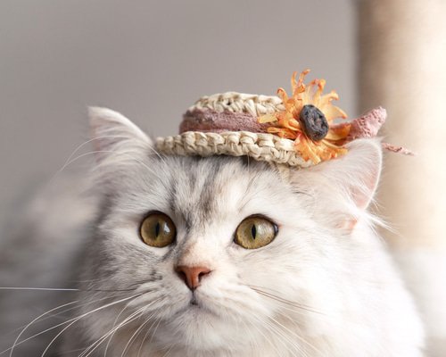 Amazon | ペット用帽子 猫 犬 ハット 夏 麦わら帽子 ひまわり