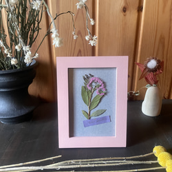 シモツケの押し花　ドライフラワーフレーム　刺繍のような花図鑑をインテリアや贈り物に 1枚目の画像