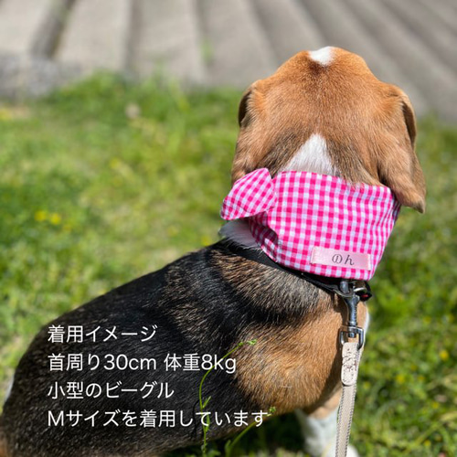 受注製作】犬用リボンクールネック ギンガムチェック 名入れ可能