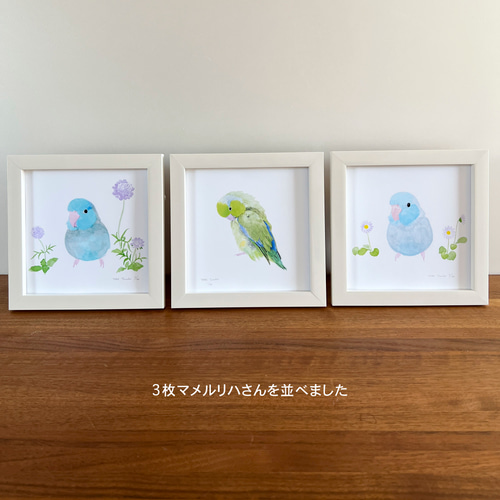 【在庫セール】鳥 インコ アートパネル 57cm × 57cm Lサイズ 日本製 在庫セール】鳥 インコ アートパネル 57cm × 57cm Lサイズ 日本製