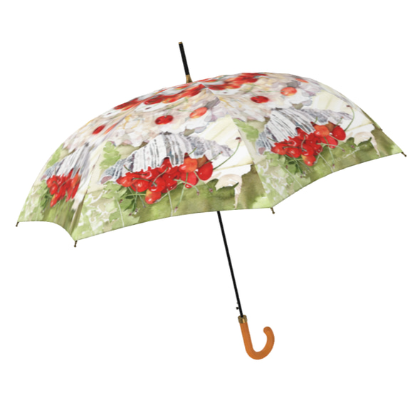 【受注生産】佐藤錦の雨傘２　（イギリス製）梅雨対策2023 1枚目の画像