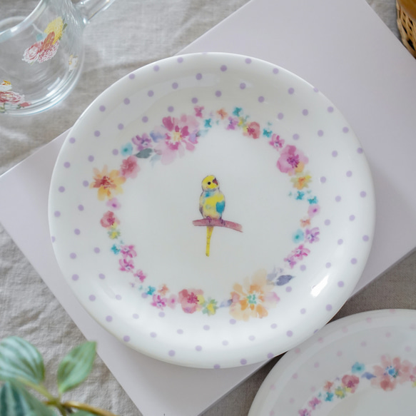セキセイインコのお皿:レインボー（小鳥シリーズ） 1枚目の画像