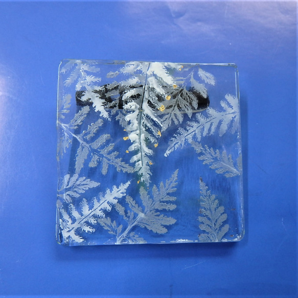 「シダ」GLASS白灰釉画ブローチ　透明　アクセサリー　野草　野の花 3枚目の画像