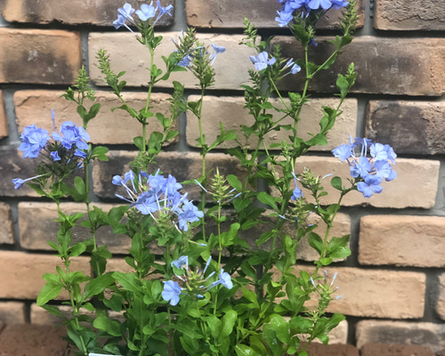 1991514553865d93027e9304189d7e