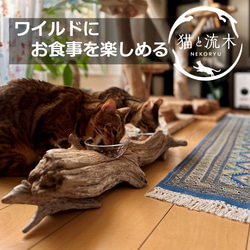 世界に一つだけ　流木フードボウル　えさ皿（シングル）【猫と流木ねこりゅう】 2枚目の画像