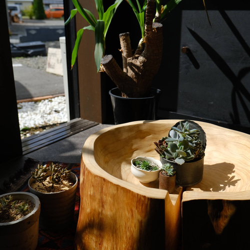 楽天市場】切り株 ディスプレイの通販 【ヒノキの切り株のプレート】木