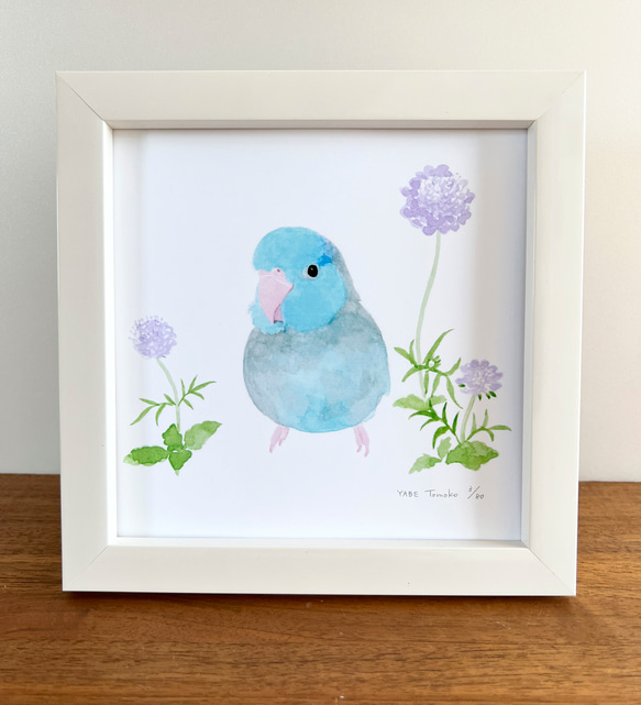 p-jet 正方形 数量限定直筆サイン入り複製画 マメルリハ ブルー と