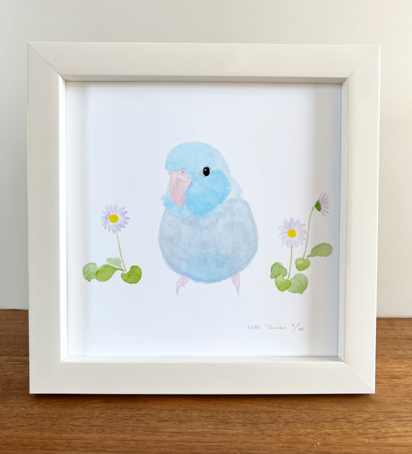 p-jet 正方形 数量限定直筆サイン入り複製画 マメルリハ パステル