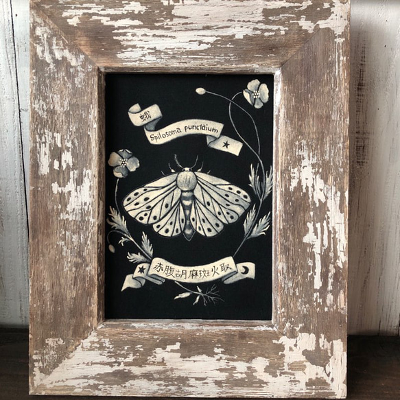 宝をまとった孤独な魚 アクリル画 原画