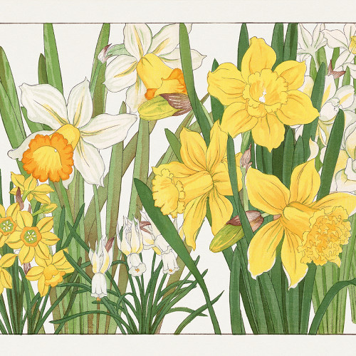 水仙の絵 水仙 オリジナル 水彩 花柄 ウォールアート 小花アート