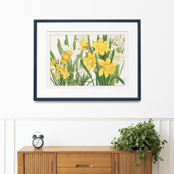 NO.456】ダフォディルの花日本画絵画アートポスター☆黄色水仙夏 NO.456】ダフォディルの花日本画絵画アートポスター☆黄色水仙夏