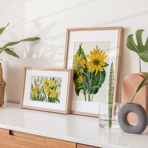 NO.456】ダフォディルの花日本画絵画アートポスター☆黄色水仙夏和室