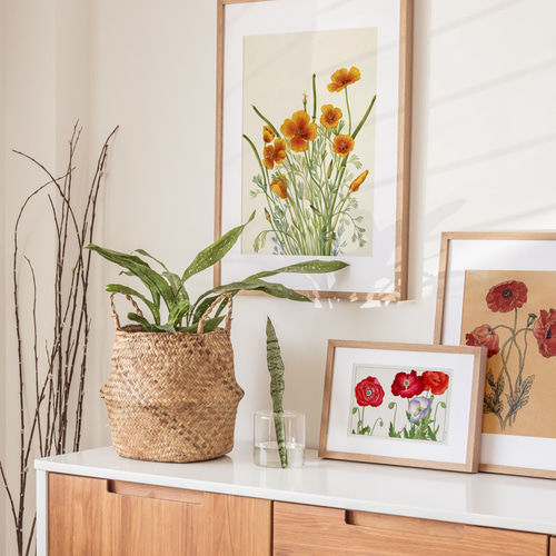 NO.457】ポピーの花の日本画絵画アートポスター☆赤色和室インテリア和