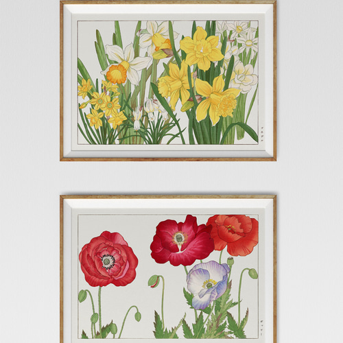 日本画 花の絵 版画　昭和レトロ　アンティーク 日本画 花の絵 版画 昭和レトロ アンティーク 美術品
