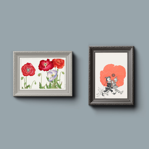 NO.457】ポピーの花の日本画絵画アートポスター☆赤色和室インテリア和